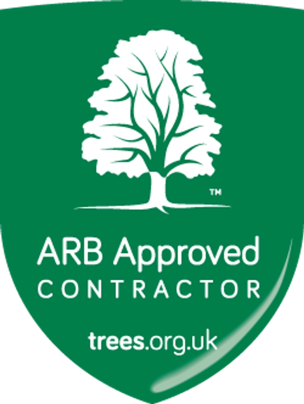 Arboricultural Association ARB Approved Contractor