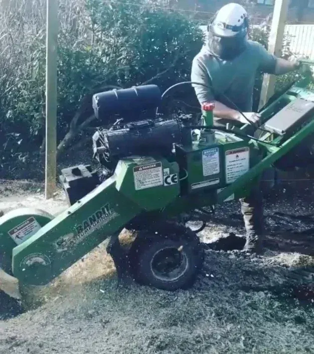 Sheffield tree surgeon grinding out a tree stump with a stump grinder in Sheffield